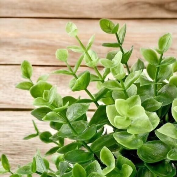 IKEA FEJKA Artificial Potted Plant Oregano 3 ½ " - Picture 4 of 7